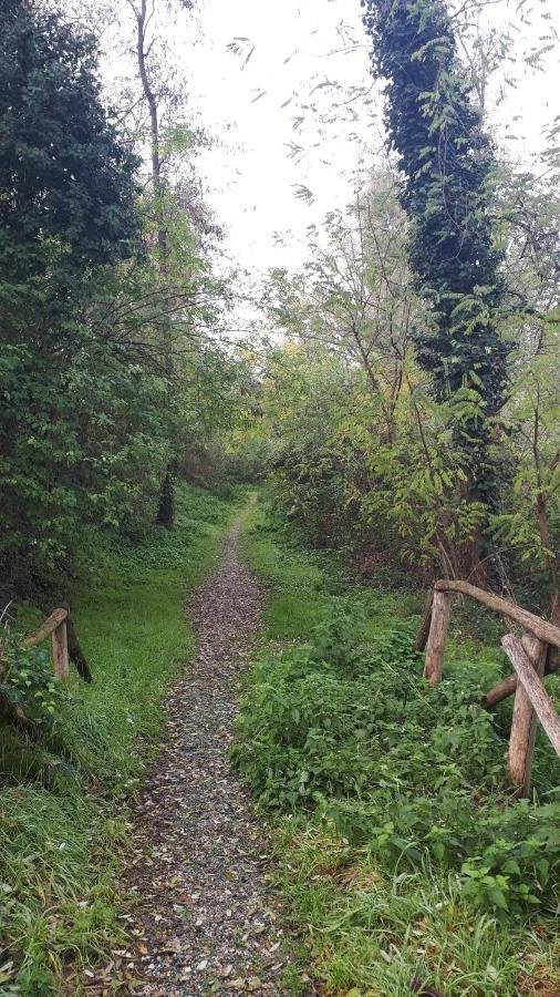 Sulla Ciclabile Apartment Lungo Il Fiume Adige Zevio Dış mekan fotoğraf