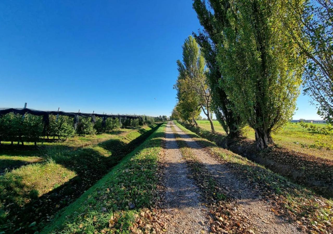 Sulla Ciclabile Apartment Lungo Il Fiume Adige Zevio Dış mekan fotoğraf
