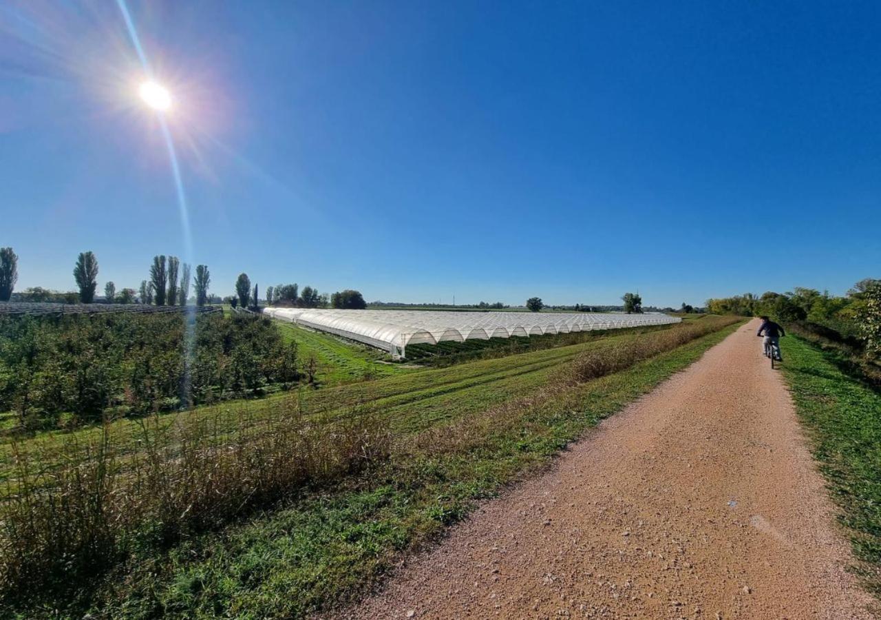Sulla Ciclabile Apartment Lungo Il Fiume Adige Zevio Dış mekan fotoğraf