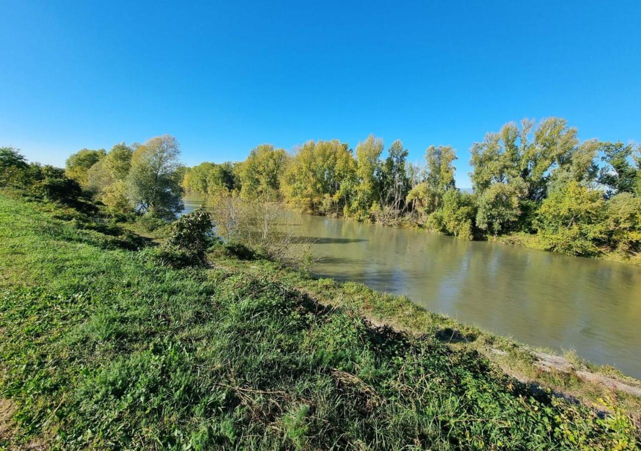 Sulla Ciclabile Apartment Lungo Il Fiume Adige Zevio Dış mekan fotoğraf