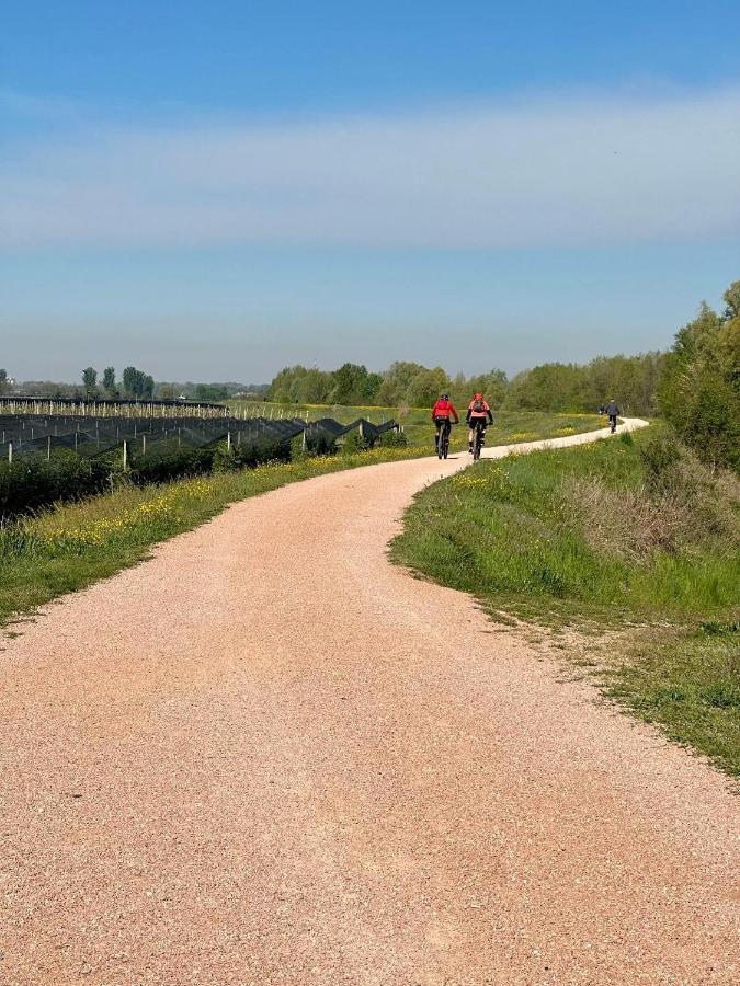 Sulla Ciclabile Apartment Lungo Il Fiume Adige Zevio Dış mekan fotoğraf